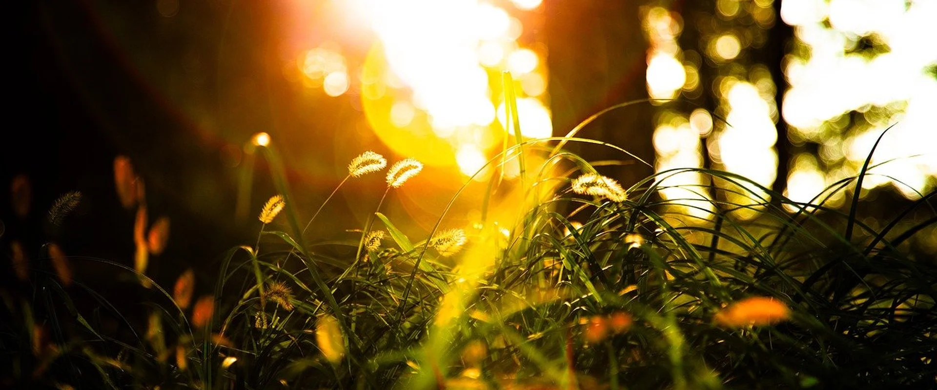 电竞下注PG电子